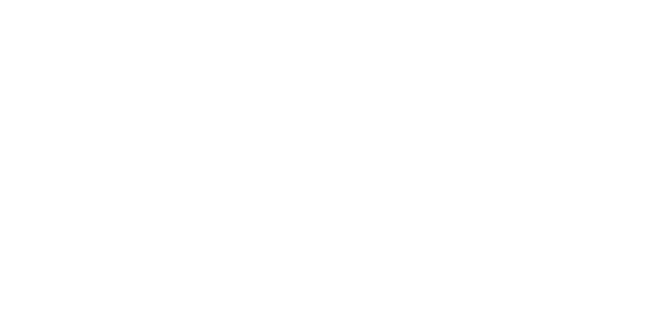 네이버페이 logo